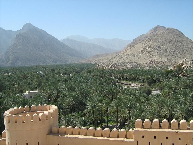 d2_dadels plantage fort nakhal.JPG - Uitzicht vanaf fort Nakhal over de wadi en een dadel plantage.